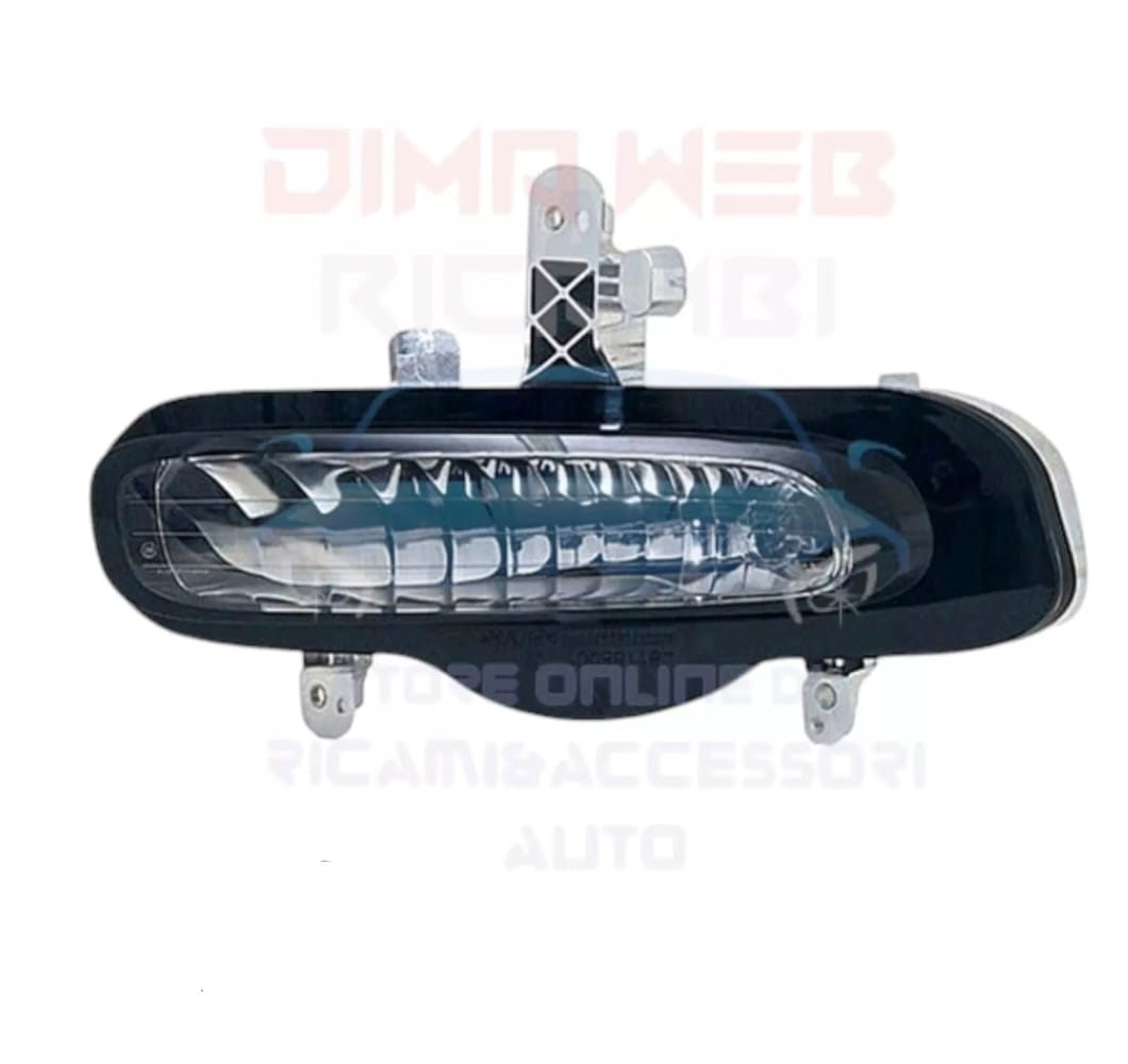 DESCRIZIONE DELL'IMMAGINE