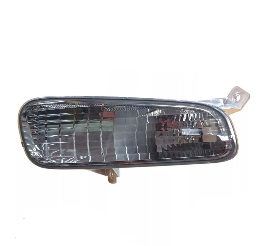 DESCRIZIONE DELL'IMMAGINE