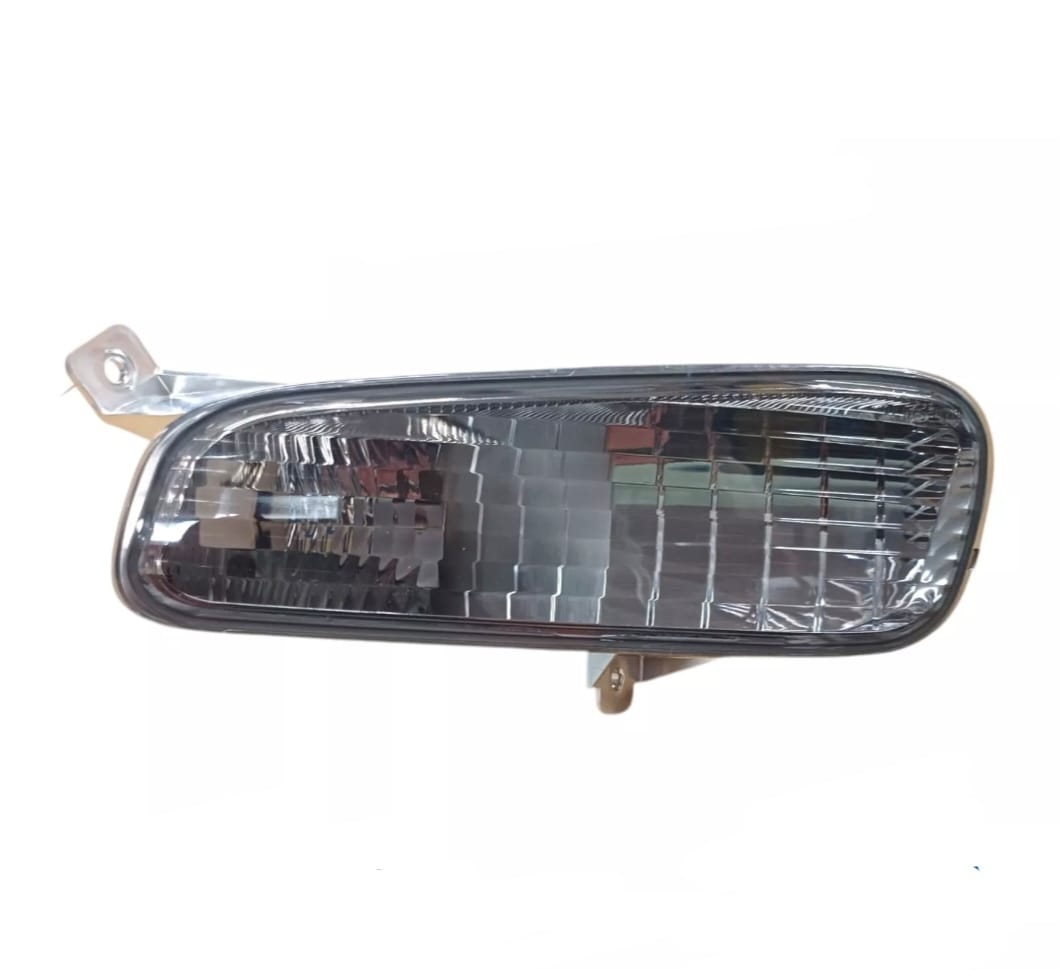 DESCRIZIONE DELL'IMMAGINE